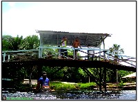 Plonsen - nr. 0136